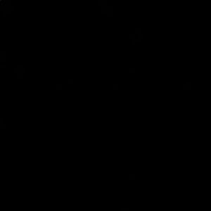 Meet your Posher, Brithany